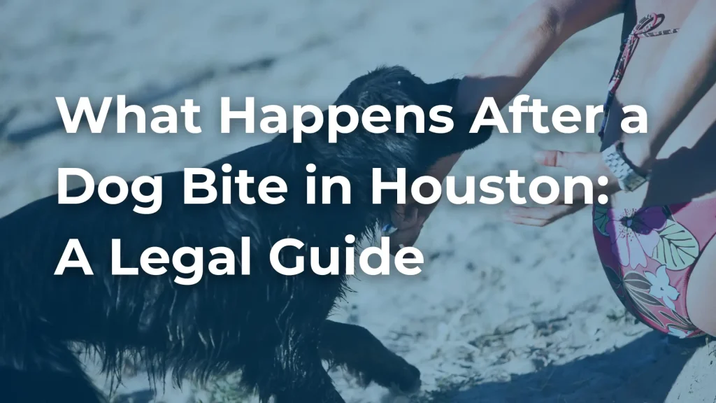 What Happens After a Dog Bite in Houston_ A Legal Guide image